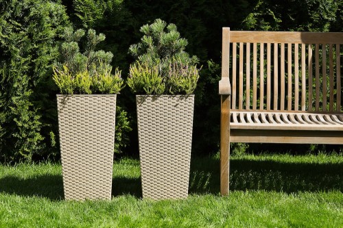 FINEZJA RATTAN